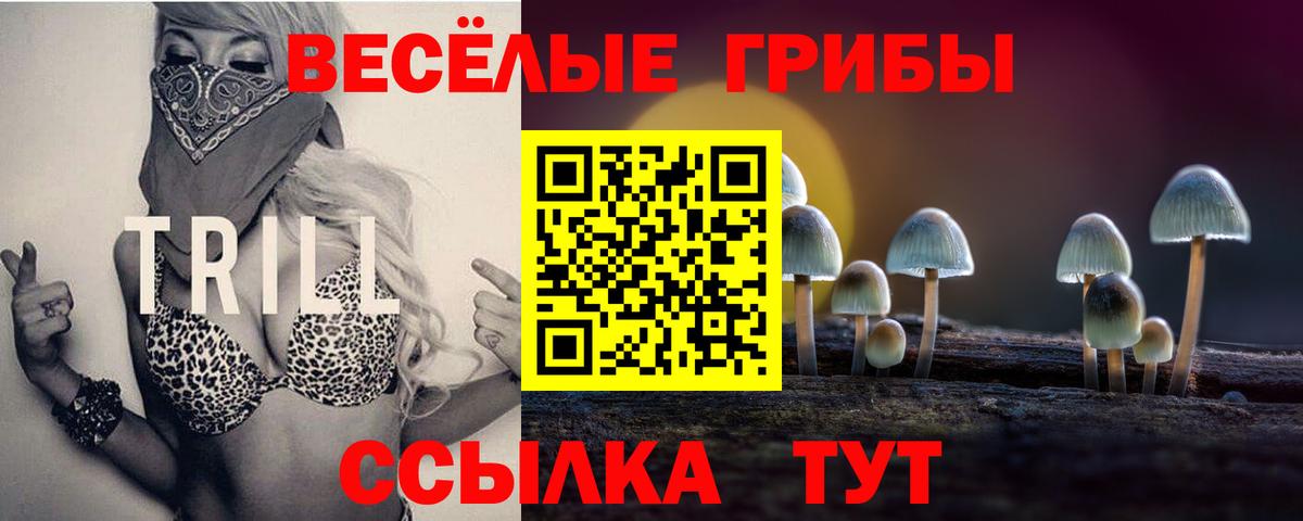 Псилоцибиновые грибы мухоморы  Вход с VPN  Новодвинск 